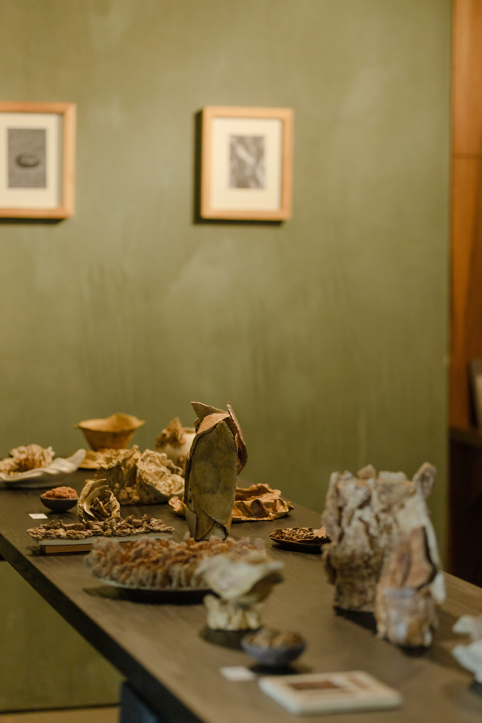 Exhibición